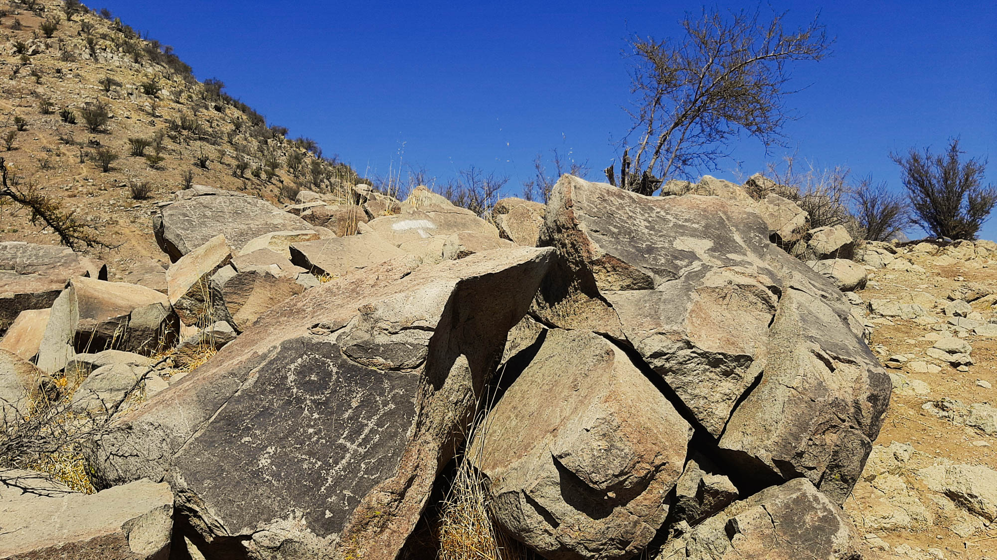Petroglifos del cerro Patagual.